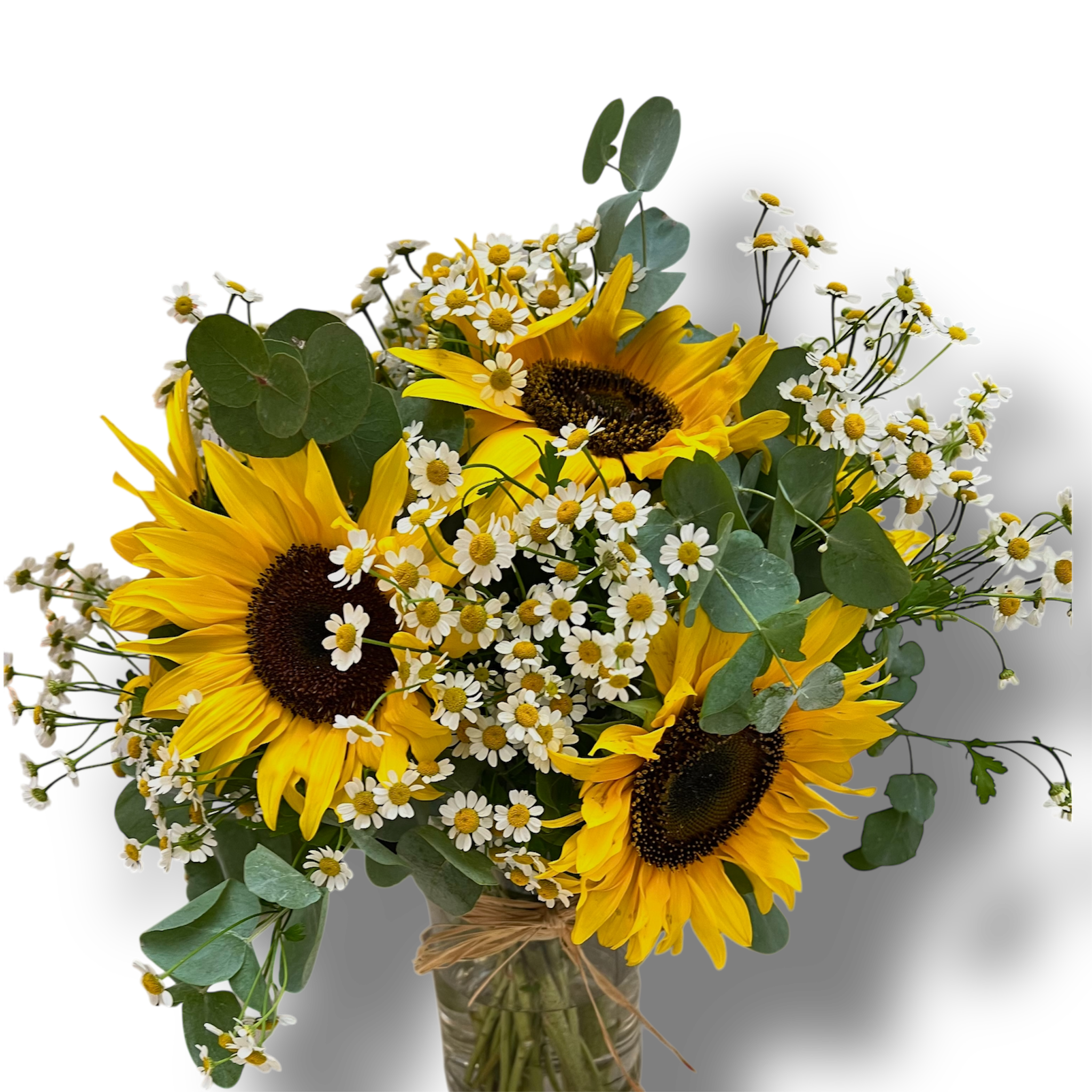Sunshine Daisy- Boxed Arrangement (Seasonal)