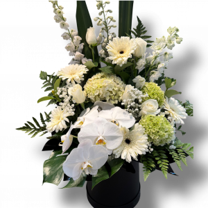 Pure Petals- Boxed Arrangement White