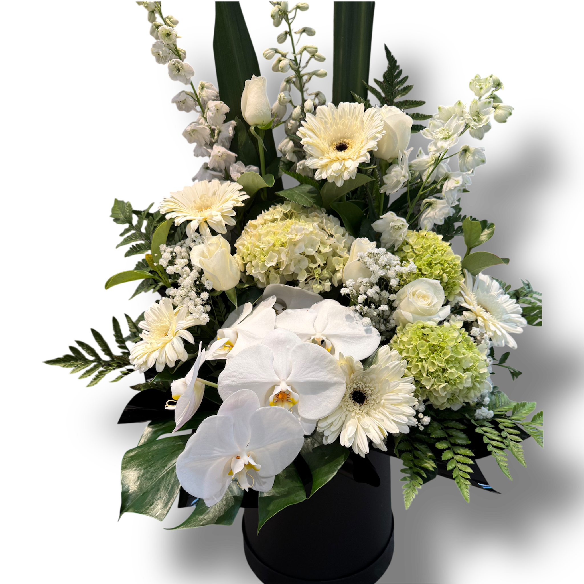 Pure Petals- Boxed Arrangement White